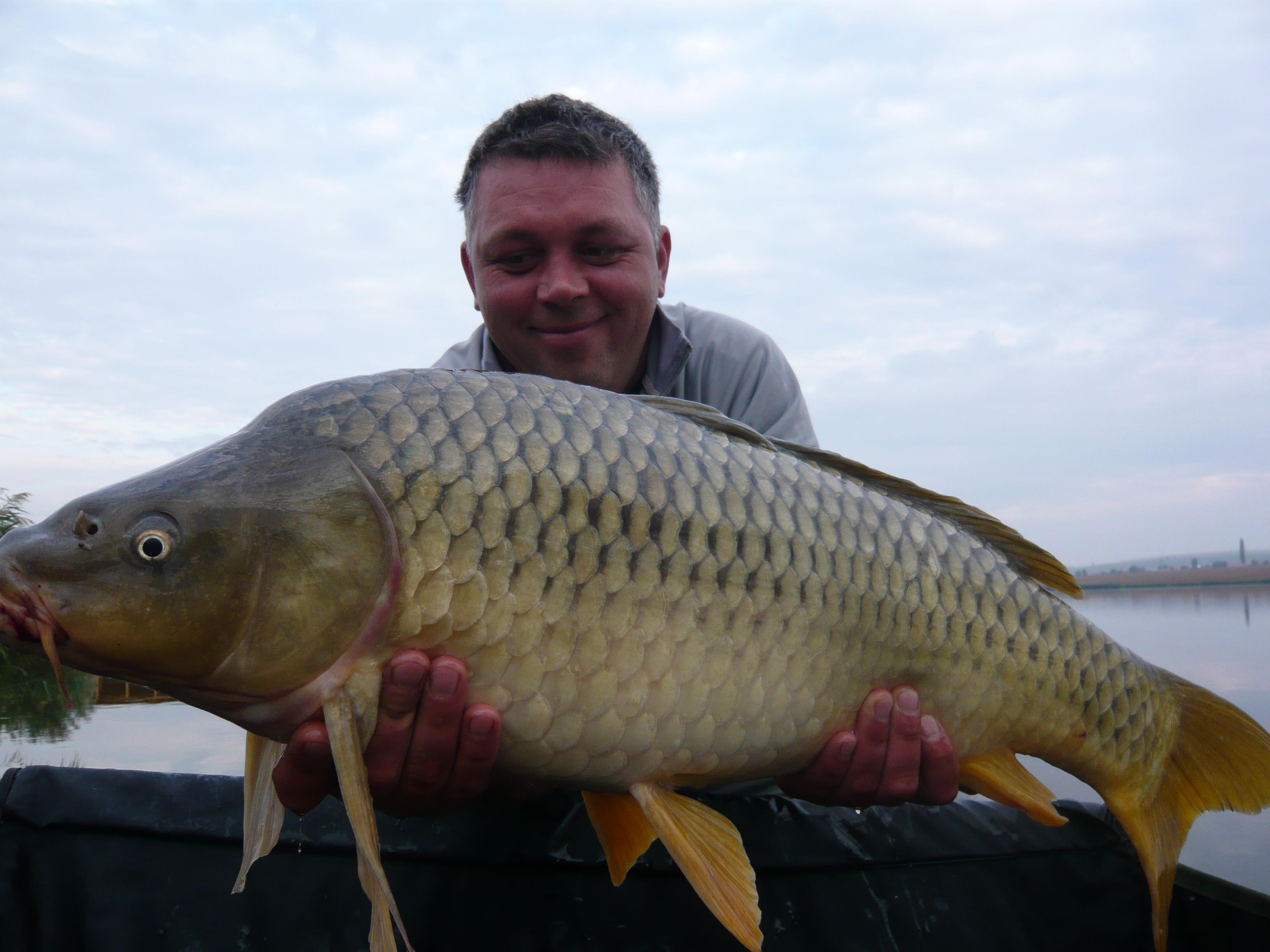 lates 2012 - P1020795.JPG